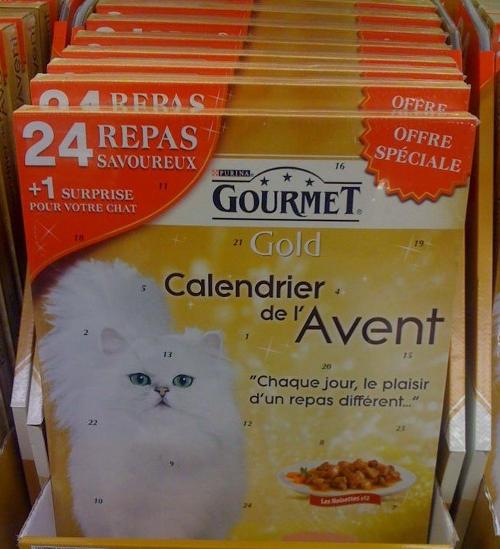 calendrier_avent_chat