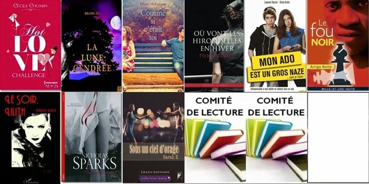 Bilan du mois de Novembre 2014 Bilan du mois de Novembre 2014