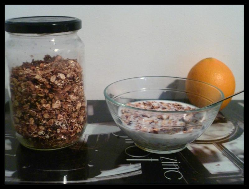 Granola choco-coco P1040921