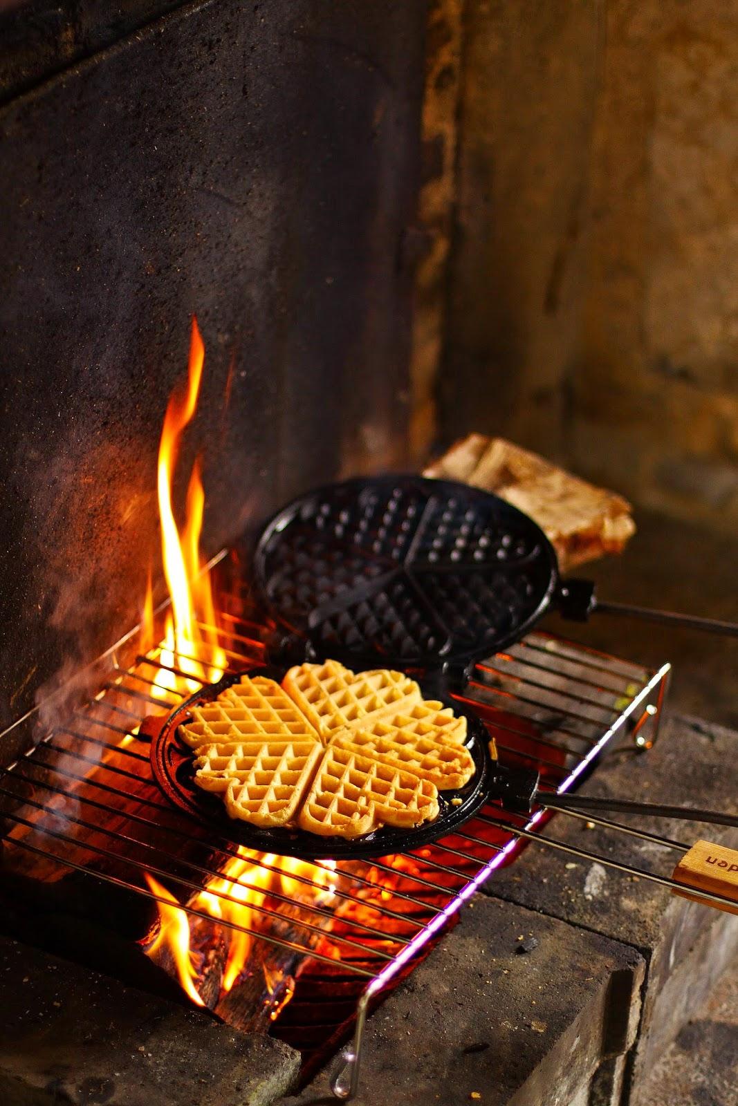 {Livre} Cuisiner avec le feu