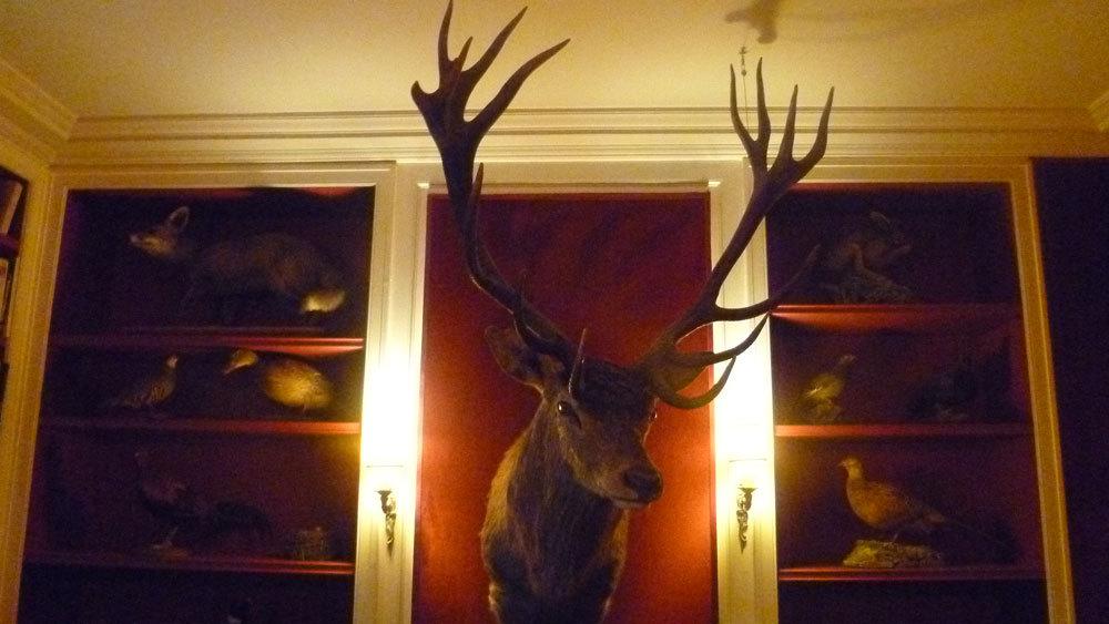 L'Hôtel Particulier de Montmartre : le paradis secret des artistes L'Hôtel Particulier de Montmartre : le paradis secret des artistes