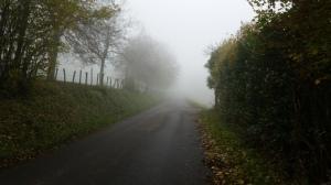 Course des Hermones 2014 : La Der de l’annee par Elisa! 20141109_102326_photo4