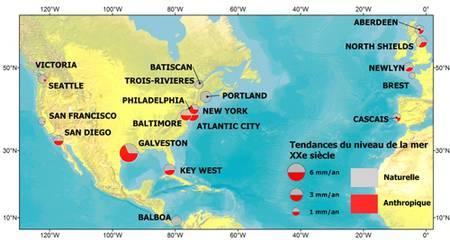 Contribution anthropique minimale dans la tendance du niveau de la mer détectée dans les marégraphes de l'Atlantique du nord au cours du XXe siècle. Chaque cercle correspond à la position d'un marégraphe. Les couleurs correspondent à la répartition de la composante anthropique (rouge) et naturelle (gris) dans la tendance du niveau de la mer. © Mélanie Becker