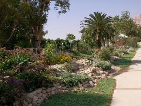 Ein Gedi botanical garden