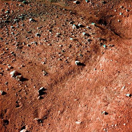 Phoenix envoie ses premières images de Mars