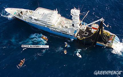 Pêche illégale : Greenpeace s’en prend au plus grand thonier du monde