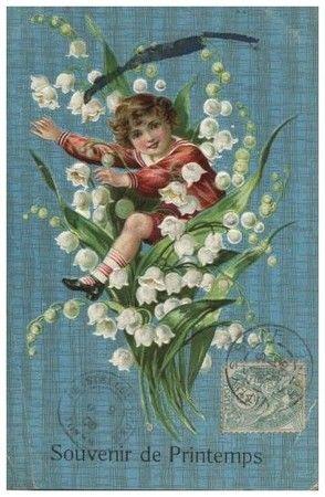 Muguet de mai 25169956_p