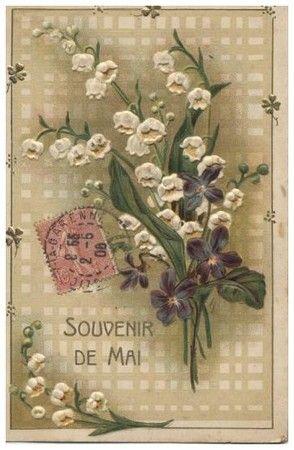 Muguet de mai 25170171_p