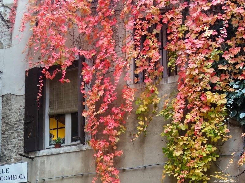 Venise couleurs automne