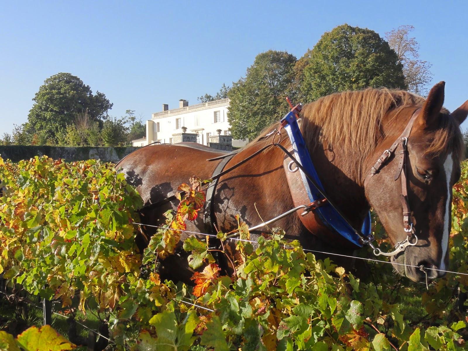 Portes-ouvertes au Château Mirebeau les 6 et 7 décembre 2014