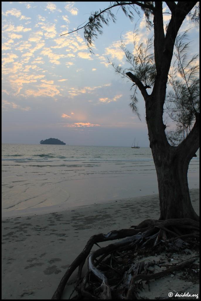 Chi Pat et le trek dans la jungle Ostres Beach