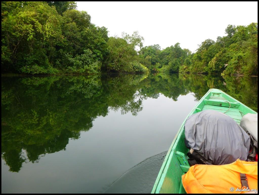 Chi Pat et le trek dans la jungle Silence de l'eau