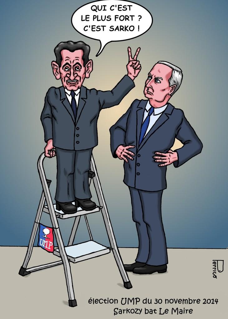 Sarkozy au sommet de l'UMP