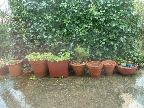 CADEAUX noel,cadeaux,fêtes,saison,hiver,shopping,pluie,décembre