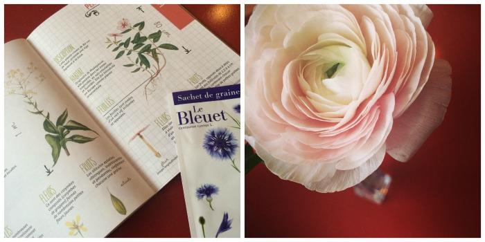 On aime : l'herbier digital de Klorane On aime : l'herbier digital de Klorane