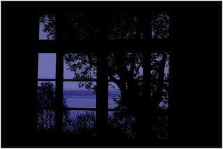 Et puis le soir un ciel d’arbres dehors par-delà la fenêtre.