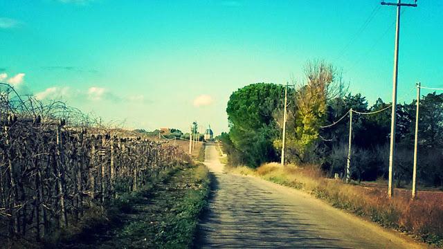 Via Francigena nel Sud, étape 12: entre vignes et oliviers.