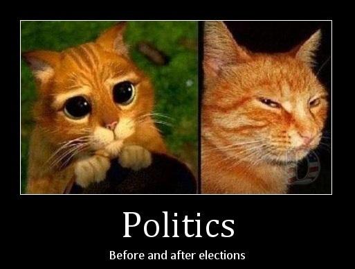 Emprunts toxiques, élus nocifs politics, before & after elections...