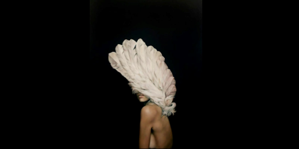 ART : Les peintures d’Amy Judd ART : Les peintures d’Amy Judd