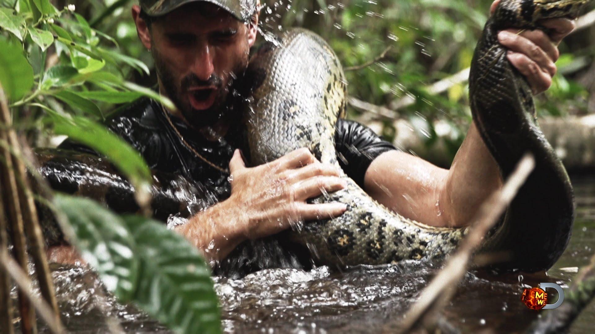 Paul Rosolie se fait avaler par un anaconda... ou pas !