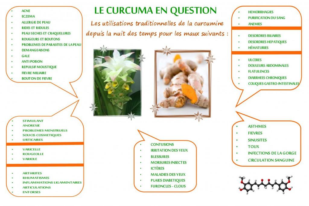 Curcuma santé, un traitement naturel contre le cancer? Bienfaits de la curcumine