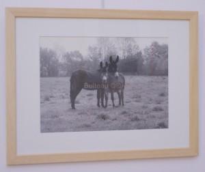 Nouvelle séquence « Evénements à Bernay » en écoute sur Bernay-radio.fr… IMGP4499_GF_1