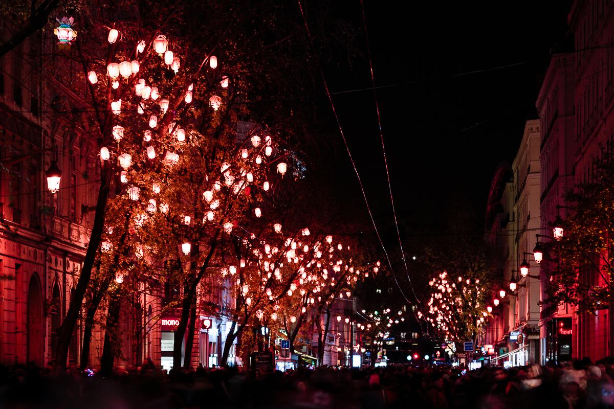 Rue de la République FDL2014 BD©b rob 08 Fête des Lumières 2014, soir 2 et 3