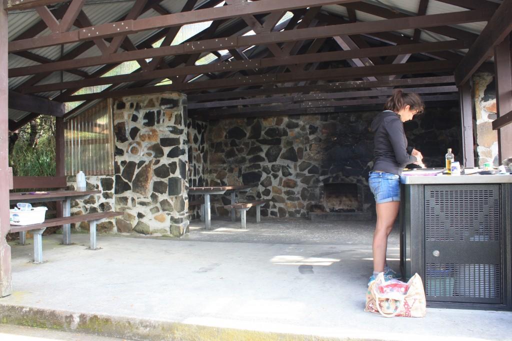 Hobart et ses environs : les immanquables pic nic area hartz mountains