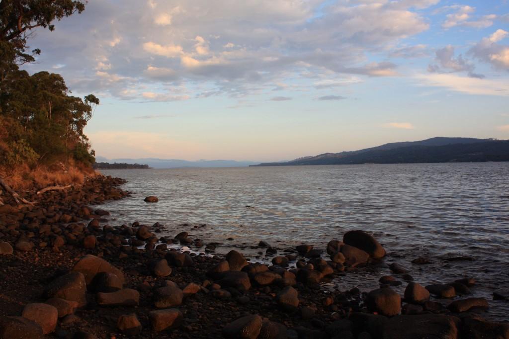 Hobart et ses environs : les immanquables cignet rd 3