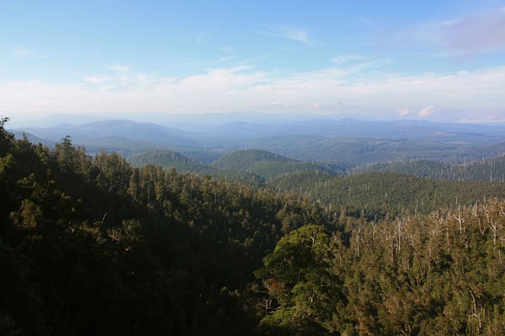 Hobart et ses environs : les immanquables hartz mountains