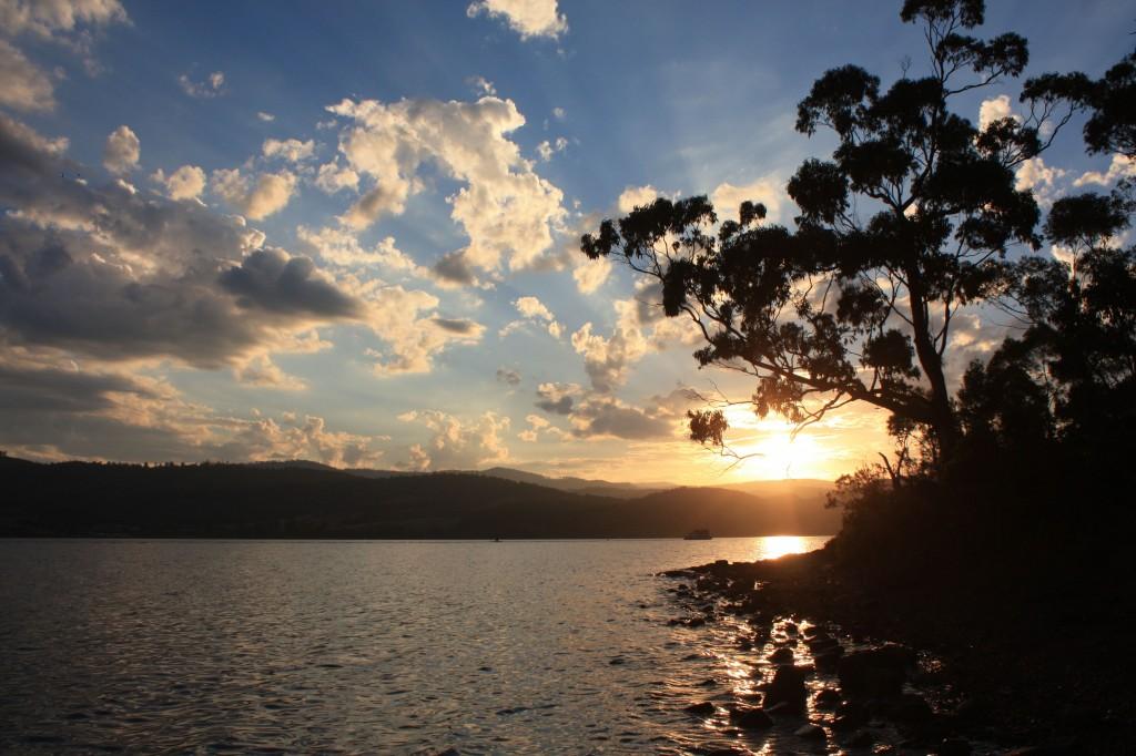 Hobart et ses environs : les immanquables cignet rd 2