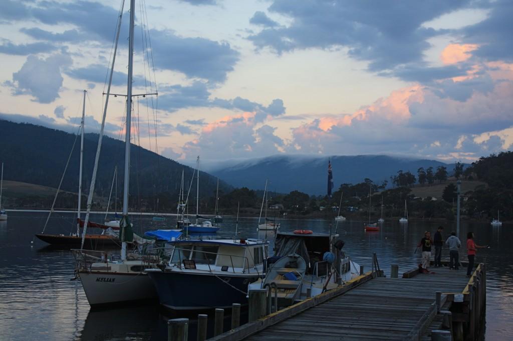 Hobart et ses environs : les immanquables cignet rd 4