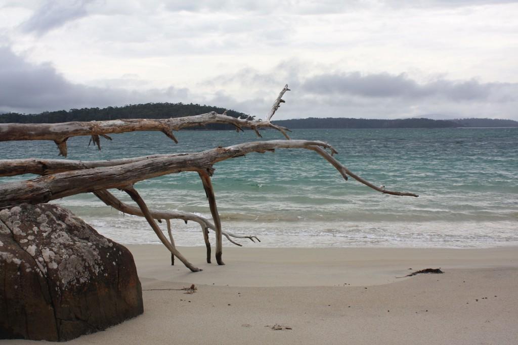 Hobart et ses environs : les immanquables recherche bay cockle creek