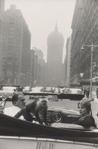 Park Avenue, New York 1959 Garry Winogrand © The Estate of Garry Winogrand, courtesy Fraenkel Gallery, San Francisco