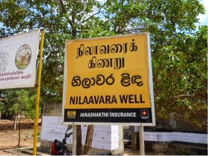 Hors des sentiers battus au Sri Lanka : la péninsule de Jaffna et la côte nord