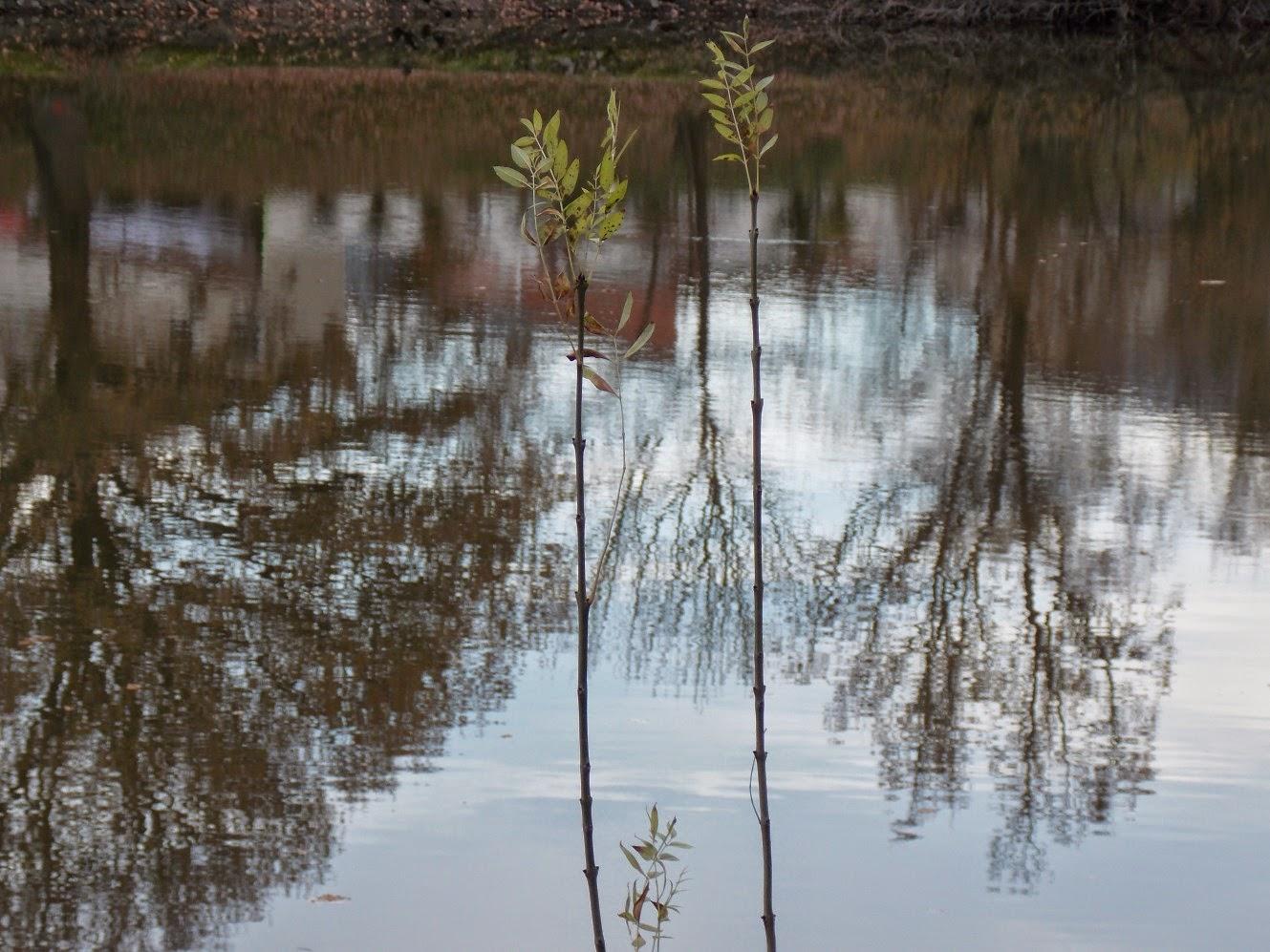 il fait soleil il fait soleil