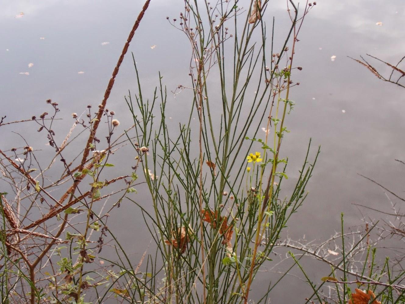 il fait soleil il fait soleil