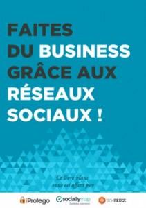 Livre Blanc en collaboration avec SociallyMap et SoBuzz ! livreblancreseauxsociaux