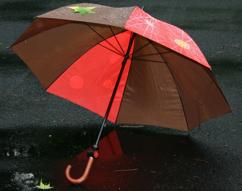 Communiqué de presse HSBC Parapluie