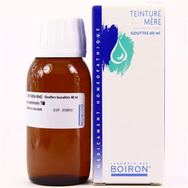 Fiche homéo teinture-mere