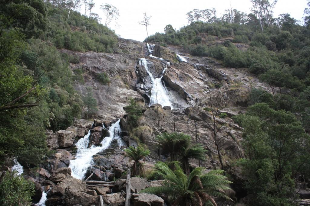 Découverte des environs de Launcheston et Saint Patrick en Tasmanie st columba falls tasmanie