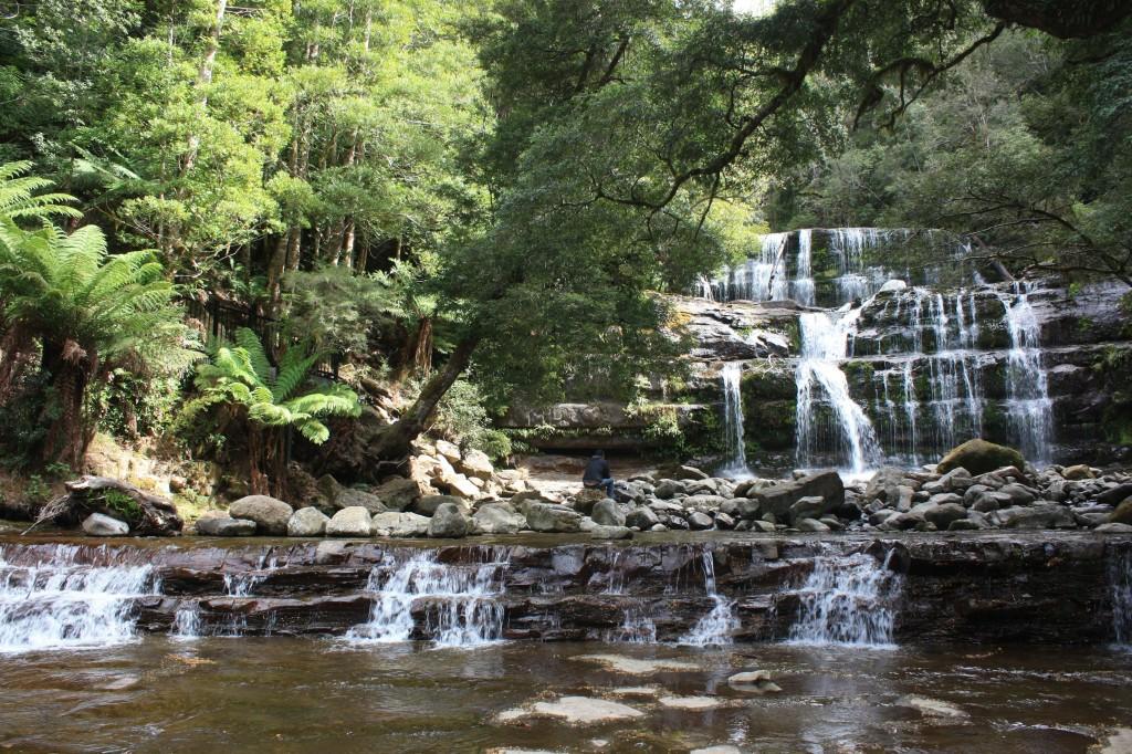 Découverte des environs de Launcheston et Saint Patrick en Tasmanie liffrey falls