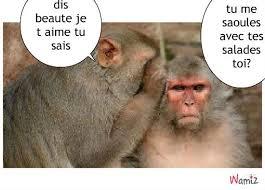 tu me saoules tu me saoules