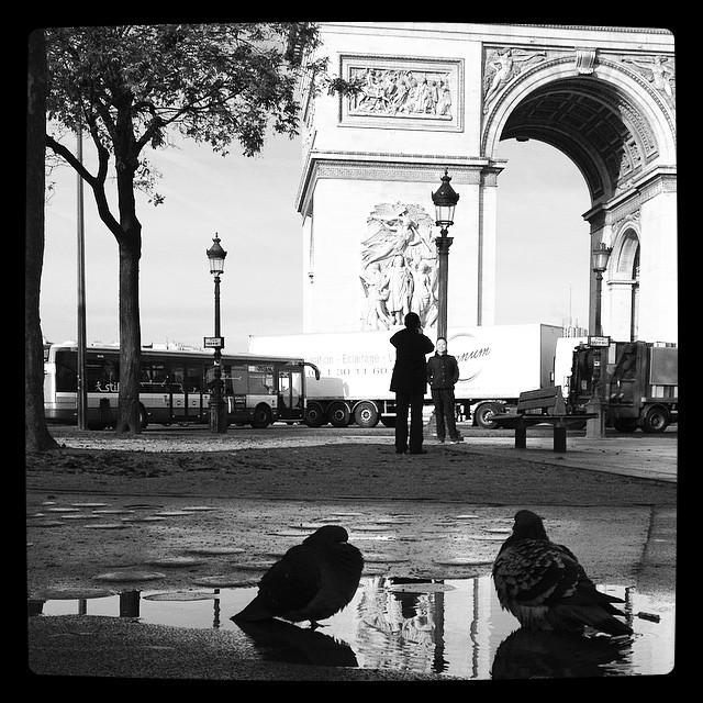 Défi Pigeons (9 décembre)