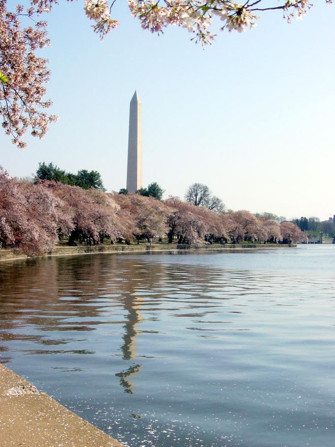 10 bonnes raisons de visiter Washington DC Washington-Memorial-DC-2004-simon_williams