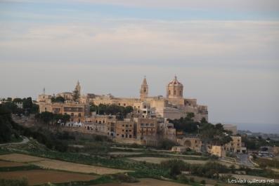 Vue panoramique sur Mdina Vue panoramique sur Mdina