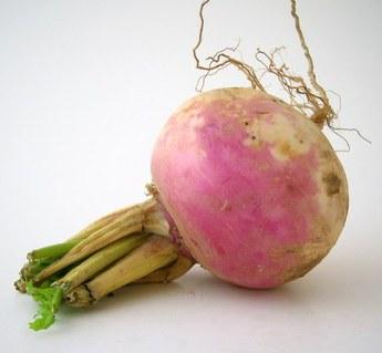 It was a gOOd wEEk ! #9 rutabaga