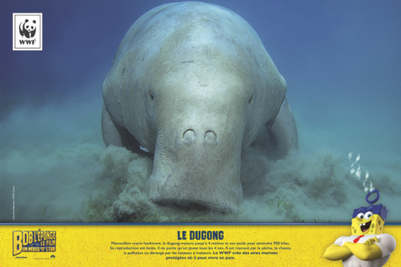 Exposition Aqurium de Paris - Dugong  WWWF Bob l'éponge