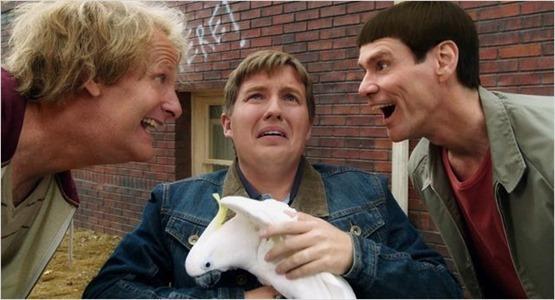 Dumb Dumber 2- 3 Dumb Dumber 2- 3