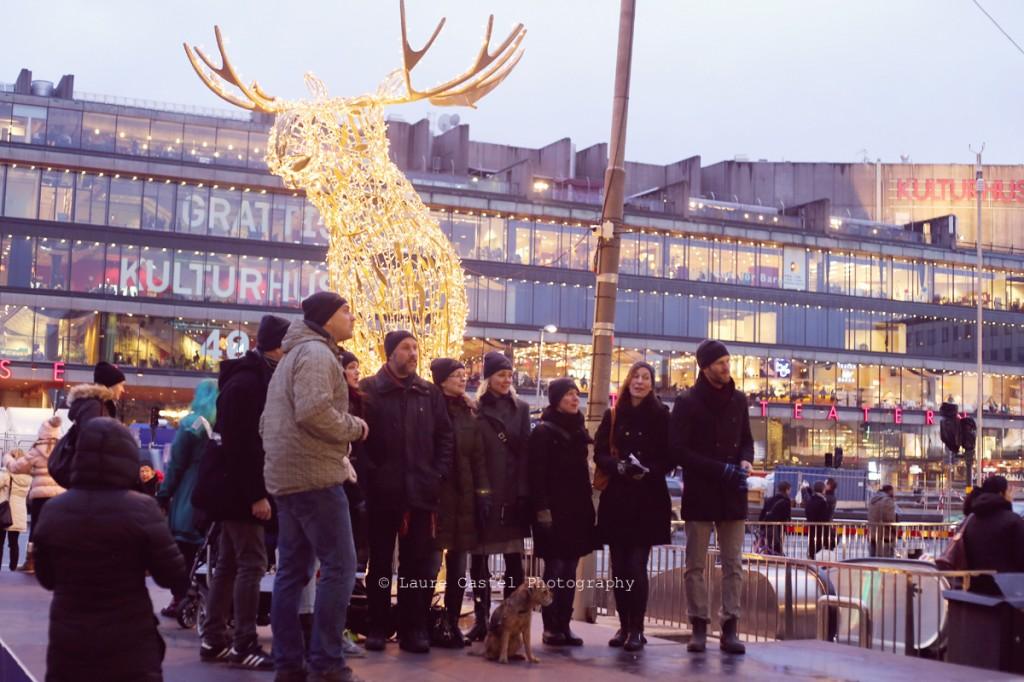 Stockholm en décembre Stockholm décembre hiver Noël